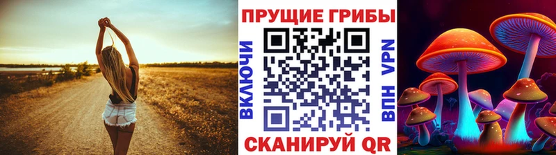 Псилоцибиновые грибы Cubensis  мега ссылки  Мышкин  где продают  