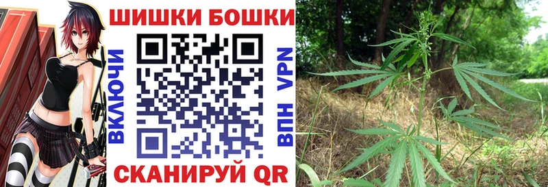 Бошки Шишки MAZAR  Мышкин 